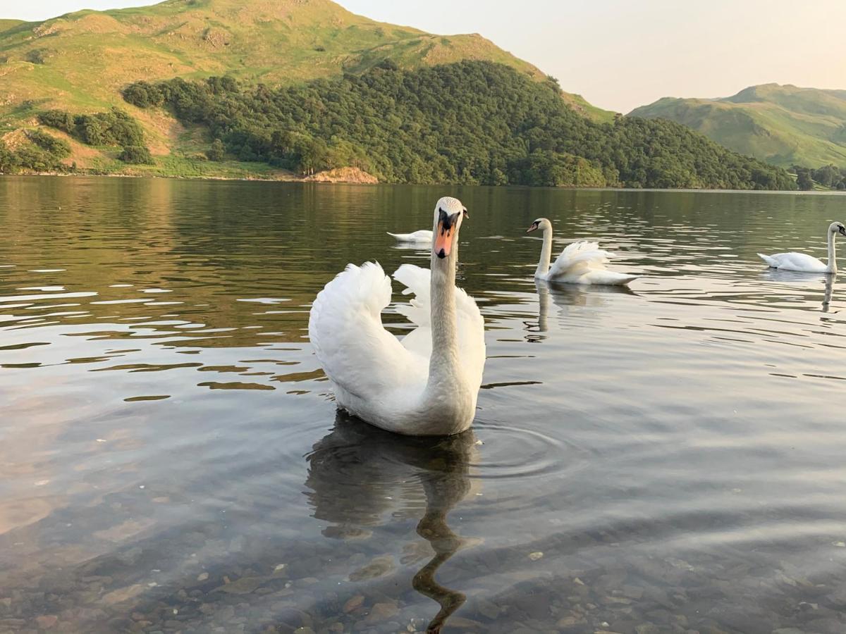 The Ullswater View Guest House Watermillock Exterior foto
